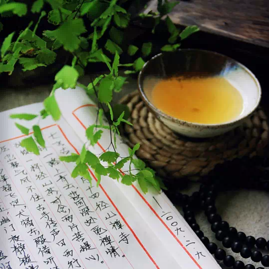 张亚琴朗诵【旧时光】作者/弘华（图6）