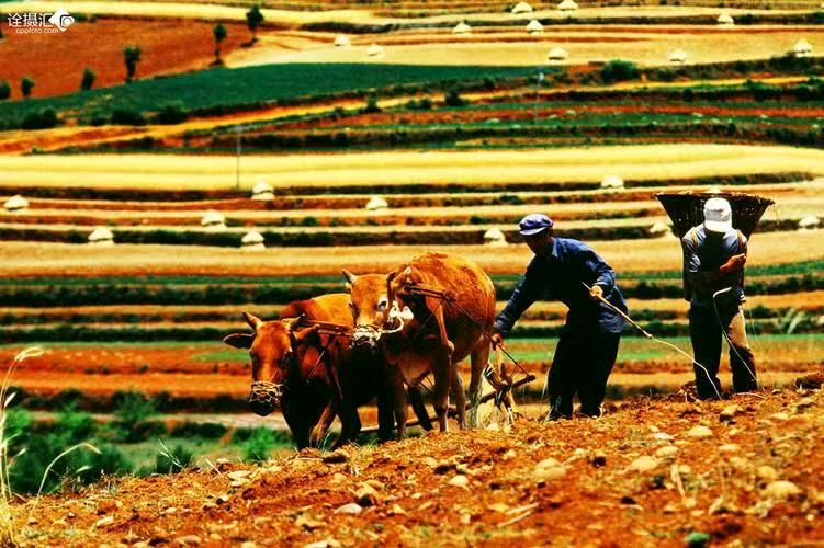 荐赏：曹欣生先生诗词专辑42首（图17）