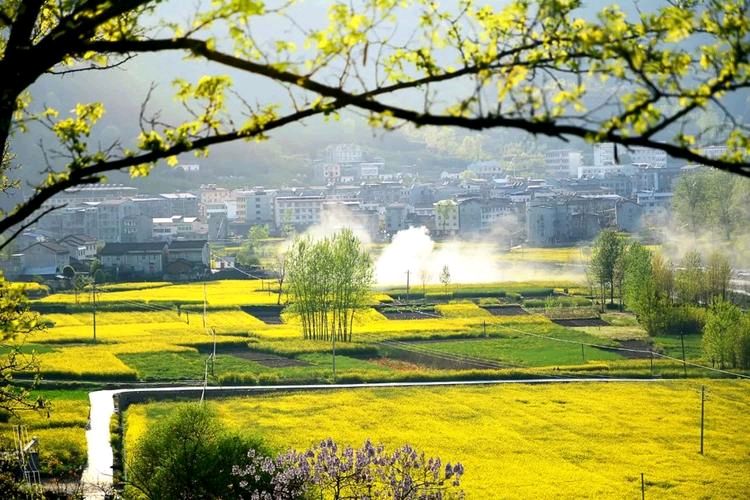 《时间的箴言》作者:孤独与快乐【主播:英霞】【桃源国际诗歌集团】用声音传递温暖以诵读致敬人生♬（图6）