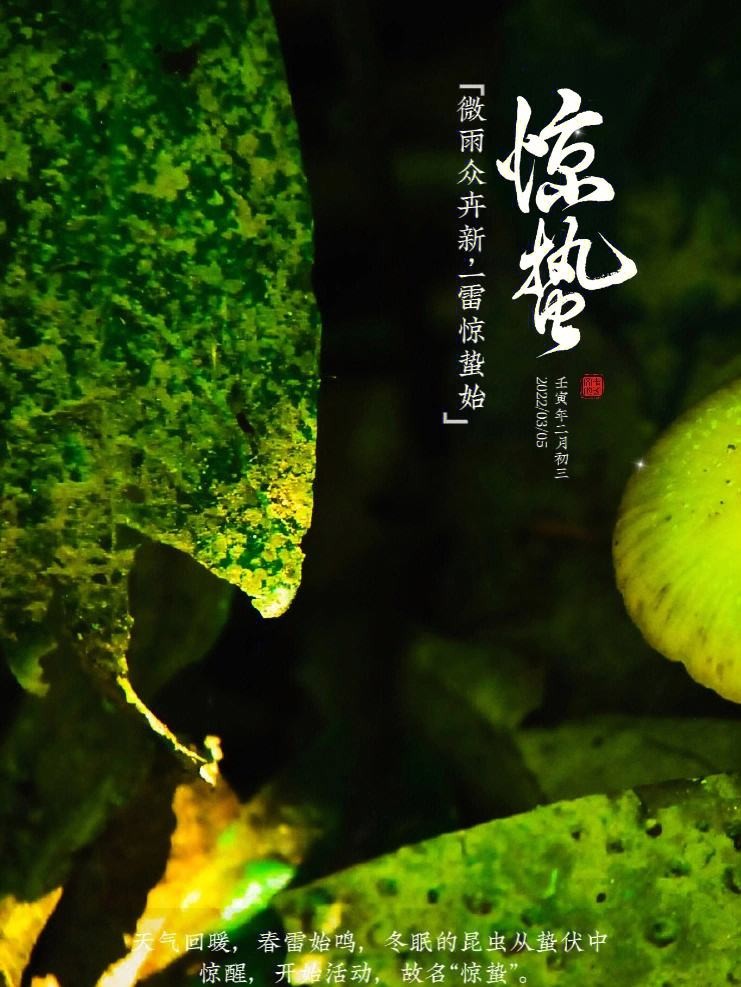 牛丽君朗诵【二十四节气系列小知识~惊蛰】文字整理/牛丽君(图13)