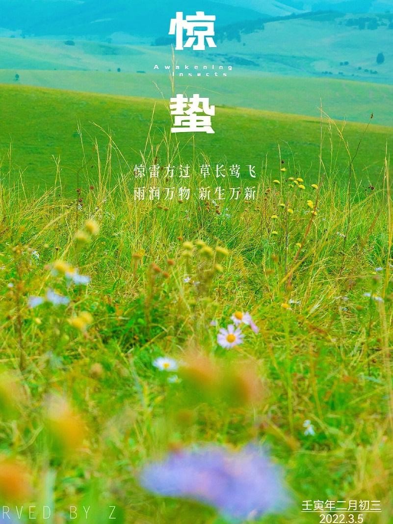 牛丽君朗诵【二十四节气系列小知识~惊蛰】文字整理/牛丽君(图7)