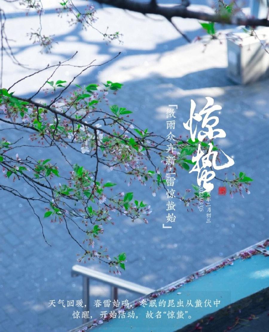 牛丽君朗诵【二十四节气系列小知识~惊蛰】文字整理/牛丽君(图6)