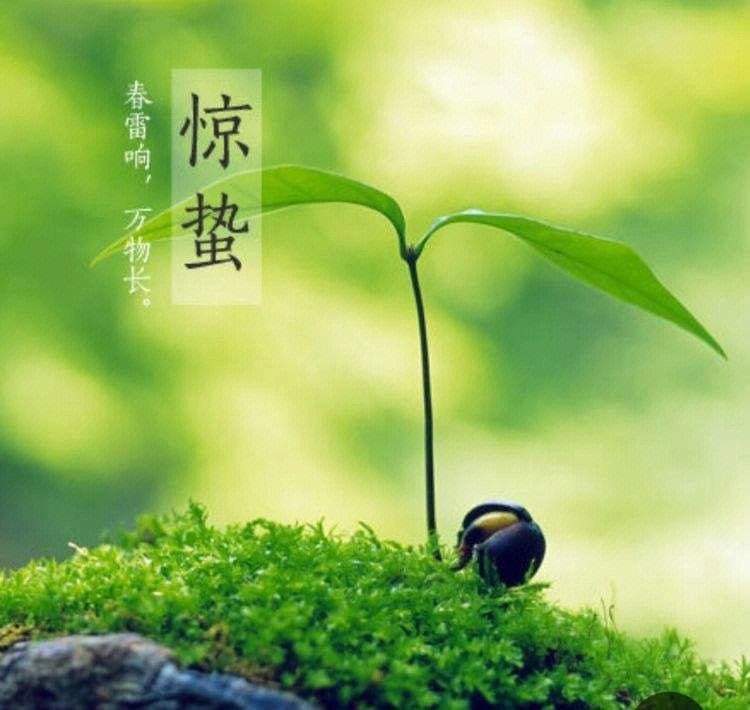 牛丽君朗诵【二十四节气系列小知识~惊蛰】文字整理/牛丽君(图5)