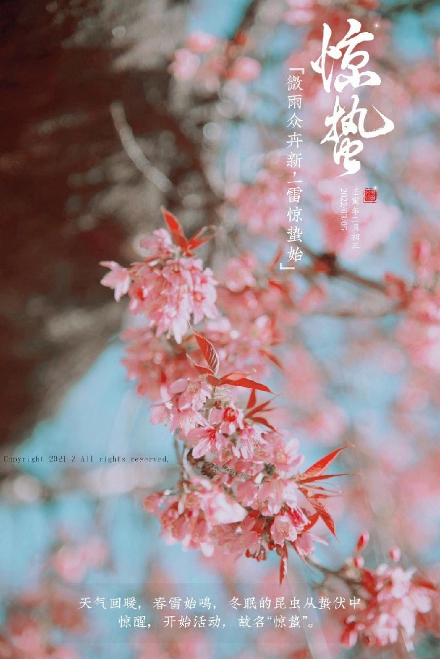 牛丽君朗诵【二十四节气系列小知识~惊蛰】文字整理/牛丽君(图12)