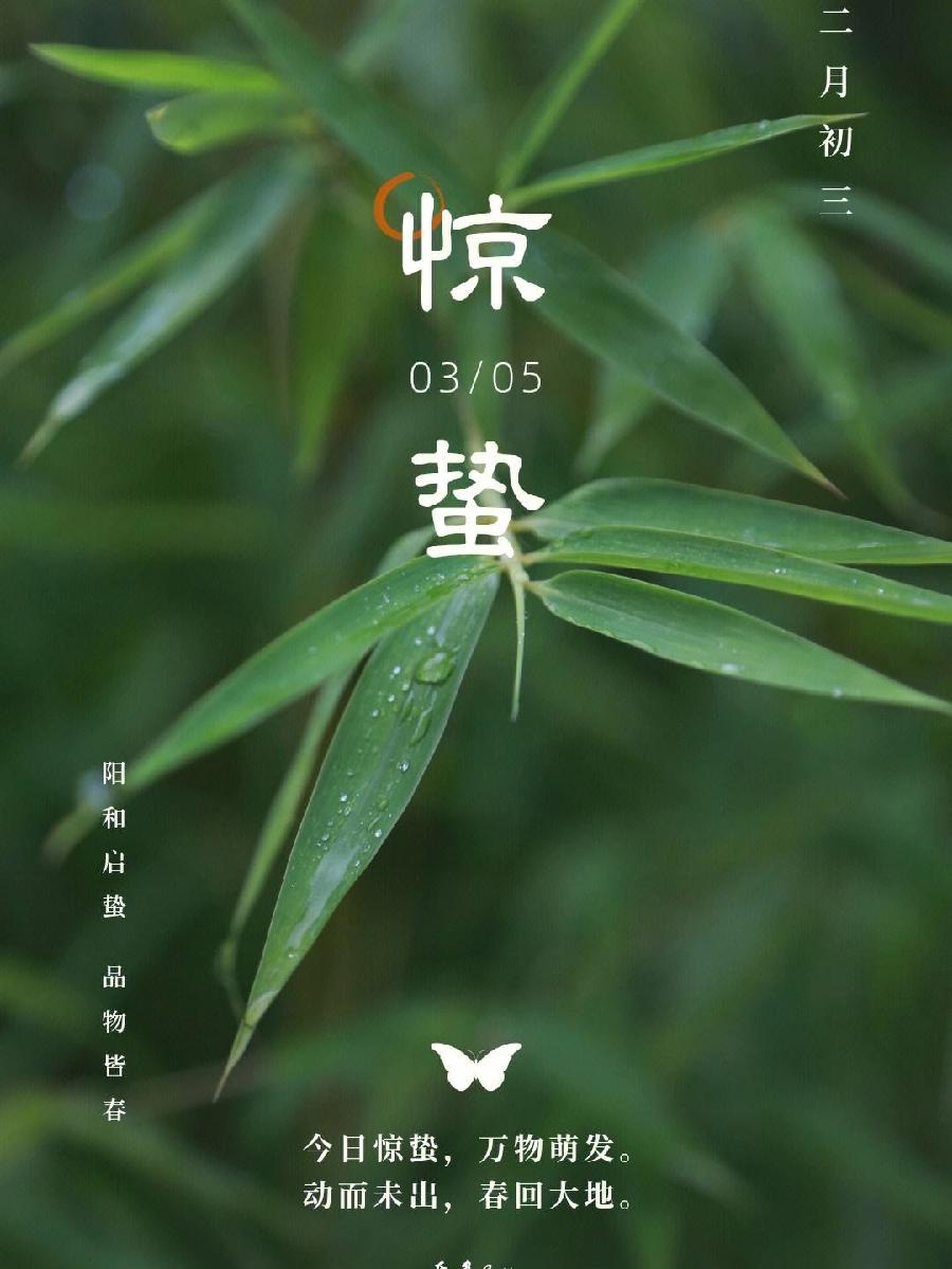 牛丽君朗诵【二十四节气系列小知识~惊蛰】文字整理/牛丽君(图8)