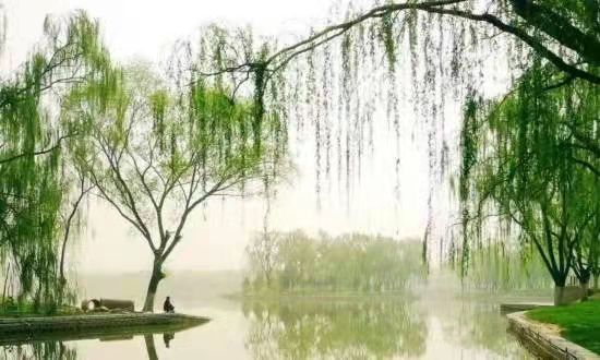 阳春三月-文/ 刘玉梅-西银/北京头条（图2）