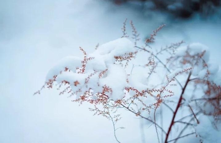 陈兵朗诵【回望冬雪】作者/竹园清风（图7）