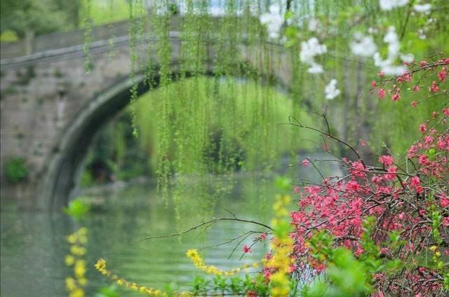 华夏流水诗社/王俊杰老师专辑十首(图4)