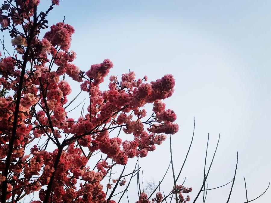 倚天亲众爱心行（2）：山村教师高快写同题作文（图4）