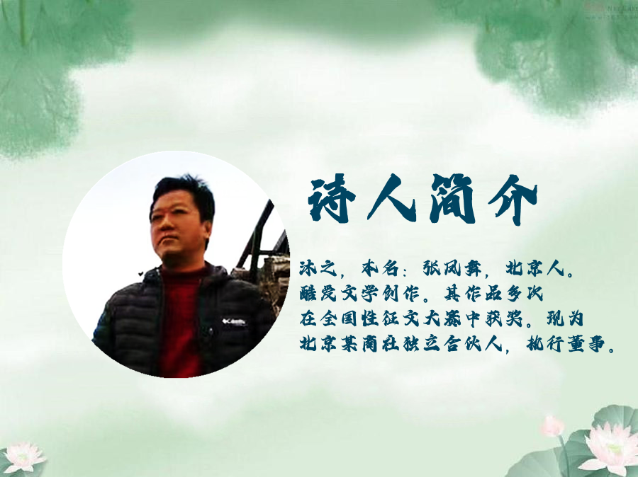 林琴朗诵【月梢儿……】作者/沐之（图2）