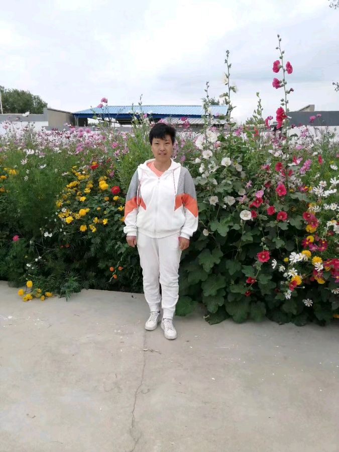 你要写故乡，就不能只写故乡（外二首）文/无言（新疆）【冰心文化传媒】（图6）