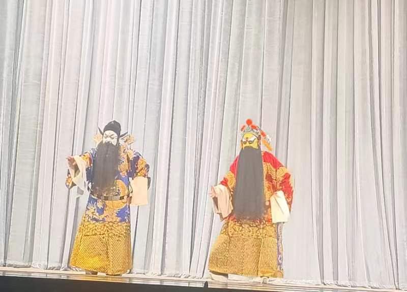 汉剧《谢瑶环》惩恶扬善 武汉人蛮喜欢看 作者/徐文新(图10)