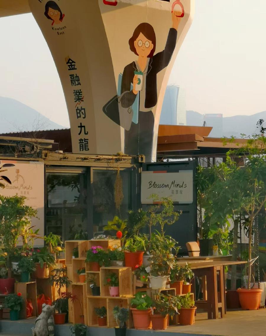 【访港雜咏】磊 怀(图15)