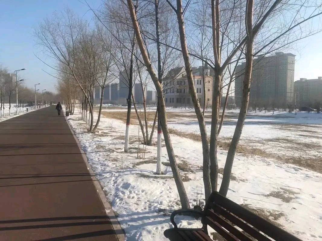 中华诗艺黑龙江分社推介/诗词作品合辑(十三)(图15)