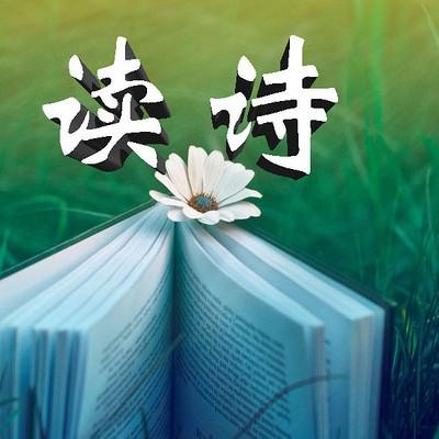 《从今天起》作者:华芳国【主播:长弓雅士】【桃源国际诗歌集团】用声音传递温暖以诵读致敬人生♬（图11）