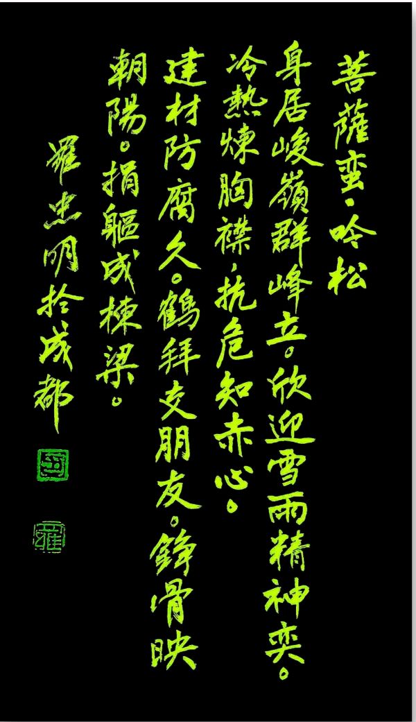 中华诗艺黑龙江分社推介/诗词作品合辑(十三)(图52)