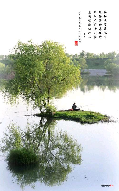 【新山东文学社】《垂钓》作者/边风 主播/竹林听雨（图7）