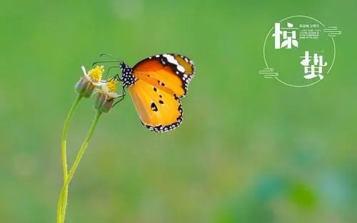 【新诗大观】惊蛰词||文/王春魁