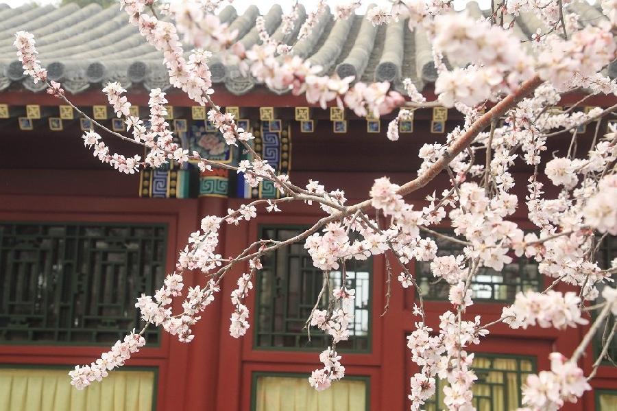 徐燕朗诵【风清扬帆再启程】作者/蓝波（图6）