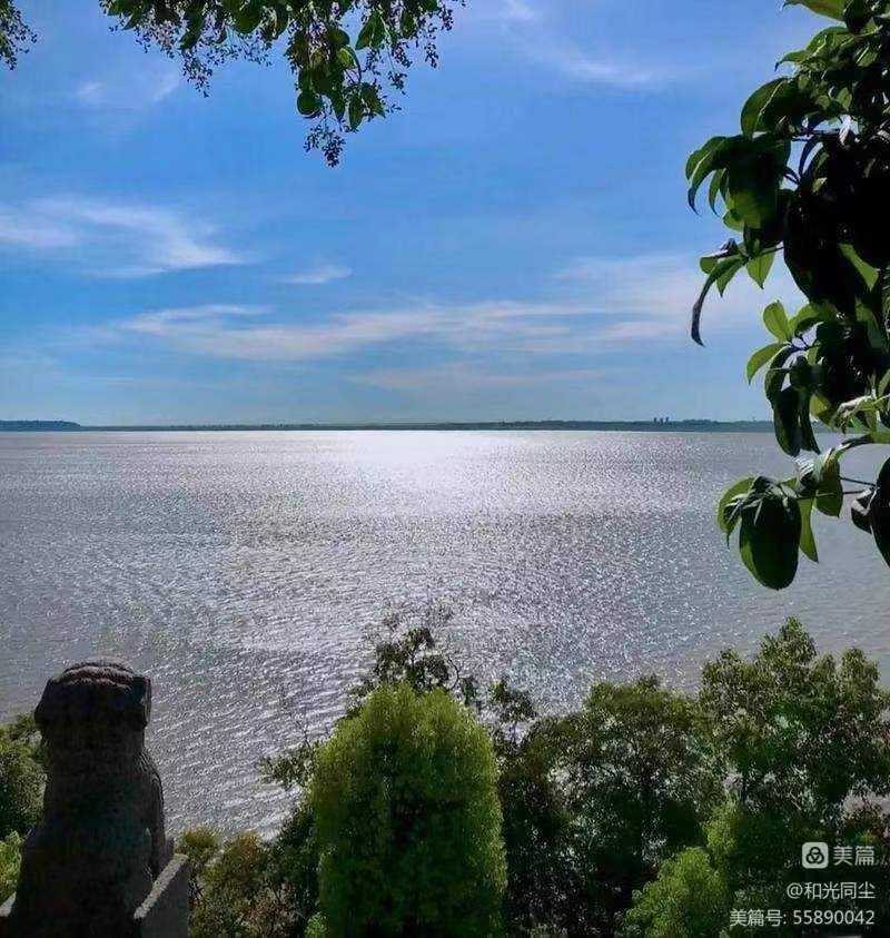 黄向群:风雨销售路系列之一(图5)