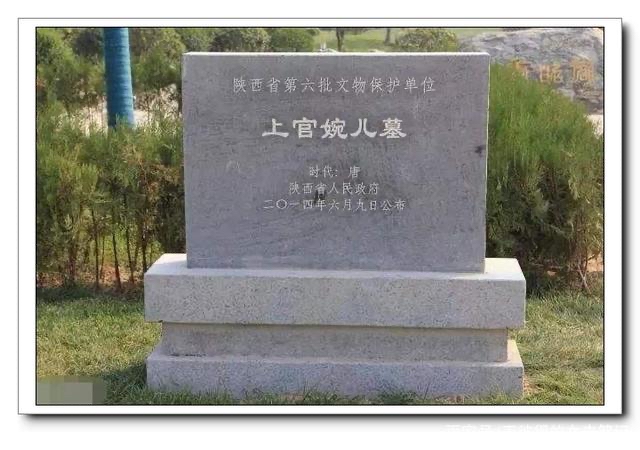 【新诗大观】上官婉儿||文/张道发