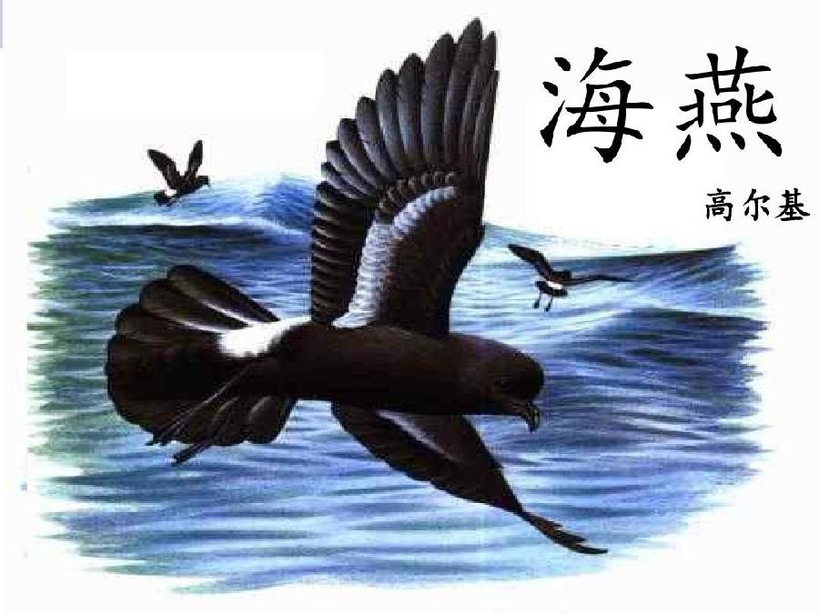 雨夜浪漫朗诵【海燕】俄★高尔基（图4）
