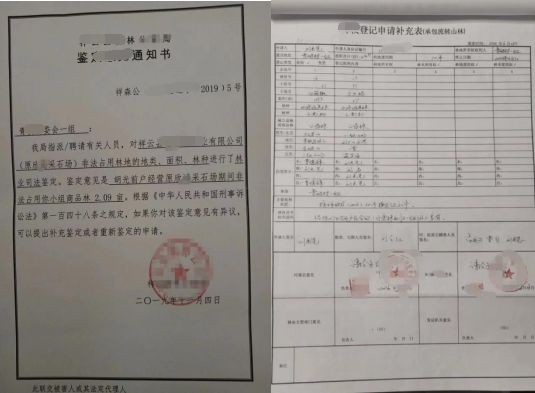 案例分享:村民林地被侵害,来看云南青坡一组村民的遭遇(图4)