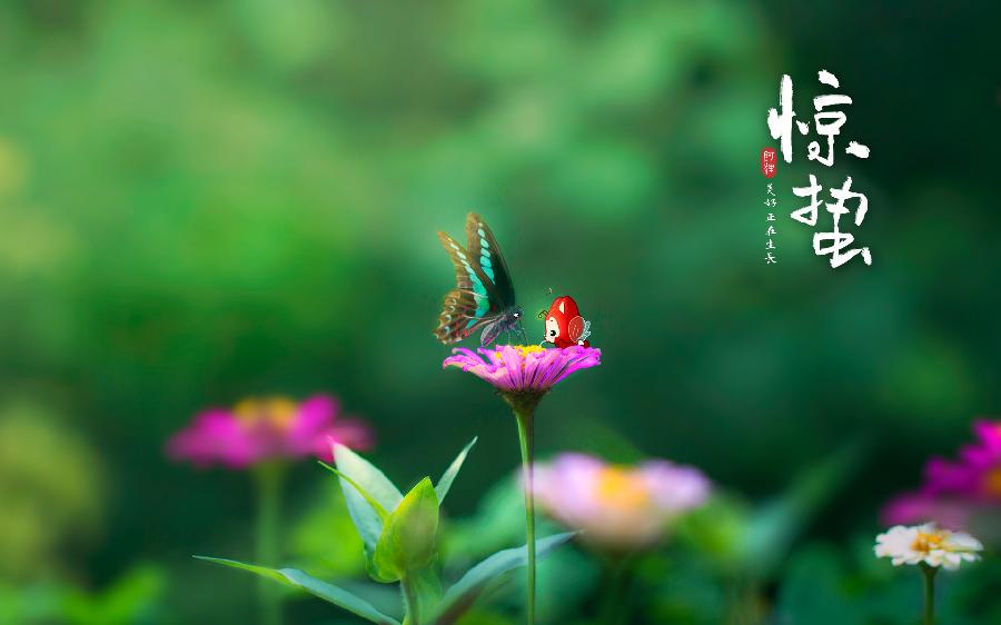 惊蛰闲吟 文／如愿