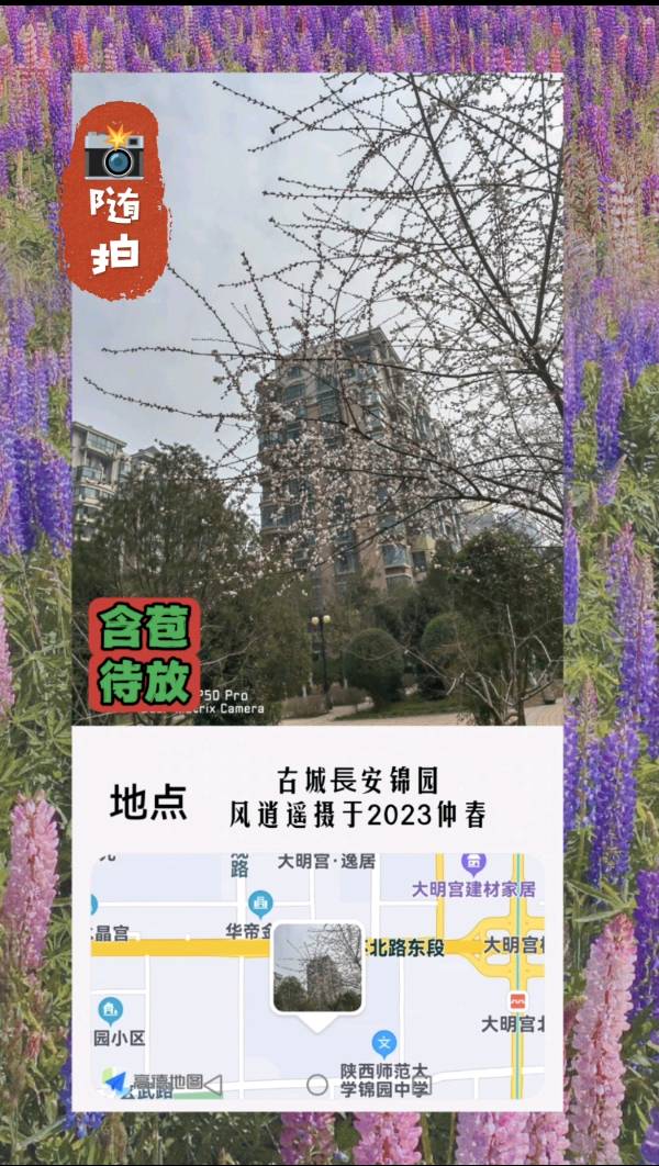 【✍锦园·随記】N（图3）