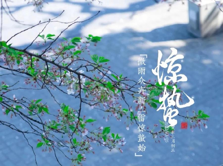【新诗大观】今天是惊蛰||文/星月（图2）