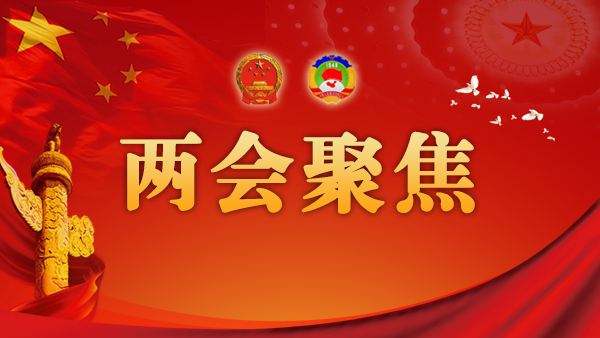 王根营（蓬池居士）:向两会献礼诗词五首（图4）