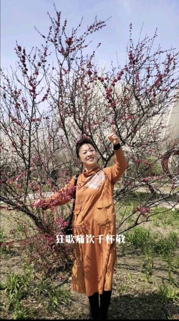 吉林儒商三月六日空中盛会展播（图15）