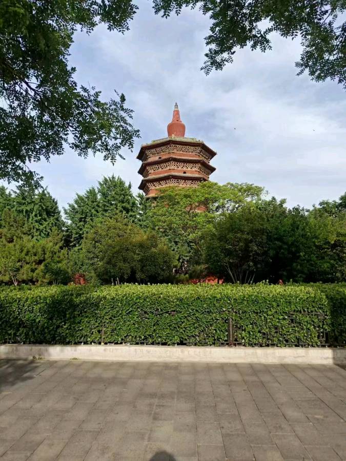 咏档案 作者：袁富法 京津沪头条
