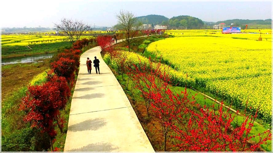 《听风说梦》作者/白杨诵读/傲雪红梅【花雨馨声】有声文学平台【第251期】（图5）