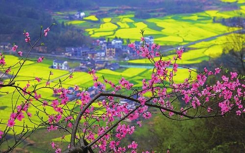 【经典推荐】曾培方//赠全国三八红旗手~~何俊霞｛外二首｝（图4）