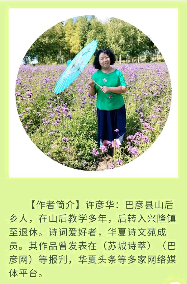 中华诗艺黑龙江分社●诗词微刊(十六)(图48)