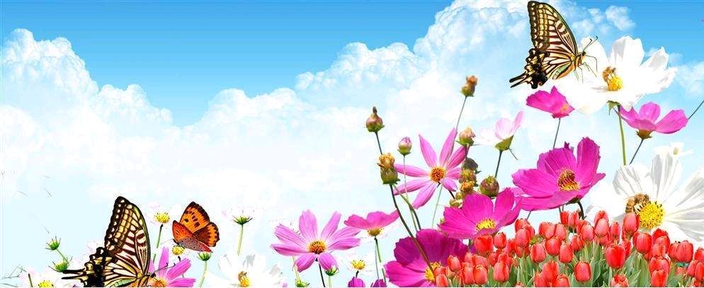 《热情的春》作者/喻永刚 诵读/冬日艳阳编辑/雨杉【花雨馨声】有声文学平台【第252期】（图5）
