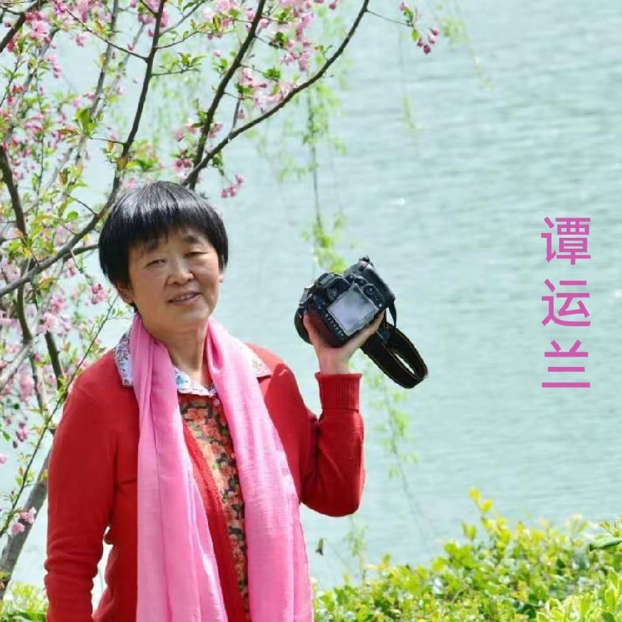 【花朝清韵】第五十六期《庆祝三八妇女节》专辑(图12)