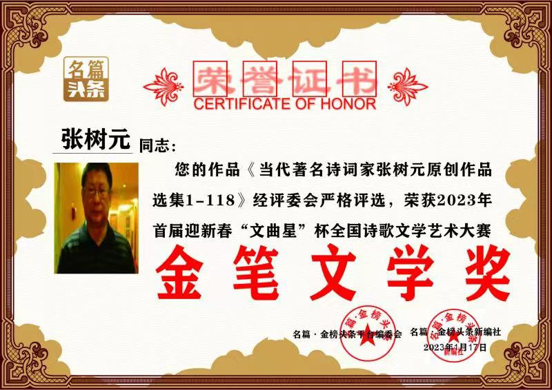 国风上海社||张树元个人专刊—北京头条(图27)