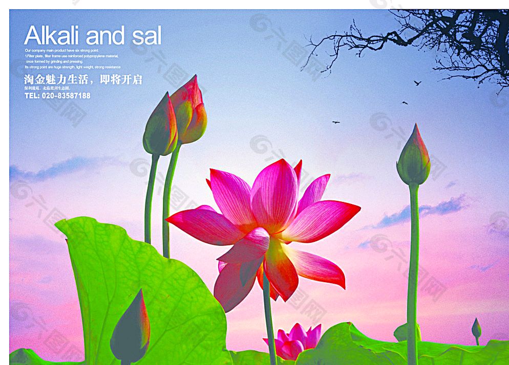 [三八节专刊] 女人如花花如梦 作者/罗雅博 主播/沈南（图5）