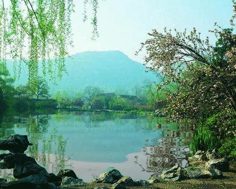 王仲飞（北京）诗词小辑【冰心文化传媒】主编 冰心（图4）