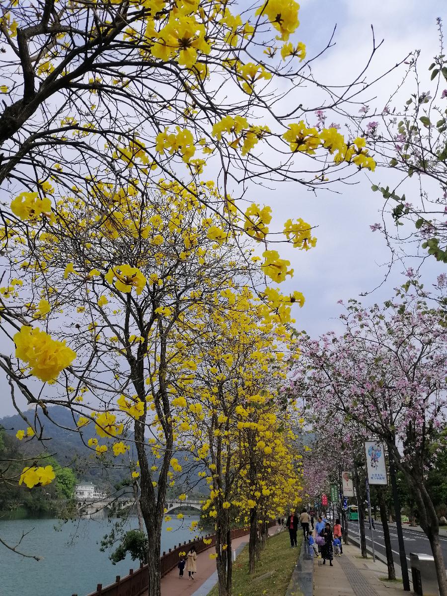 西江月三首 ／江冲（图2）