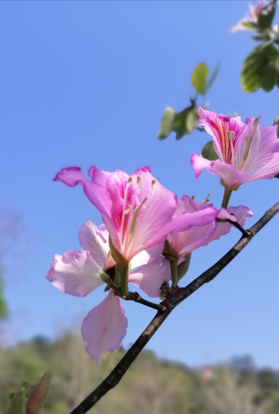 西江月三首 ／江冲（图8）