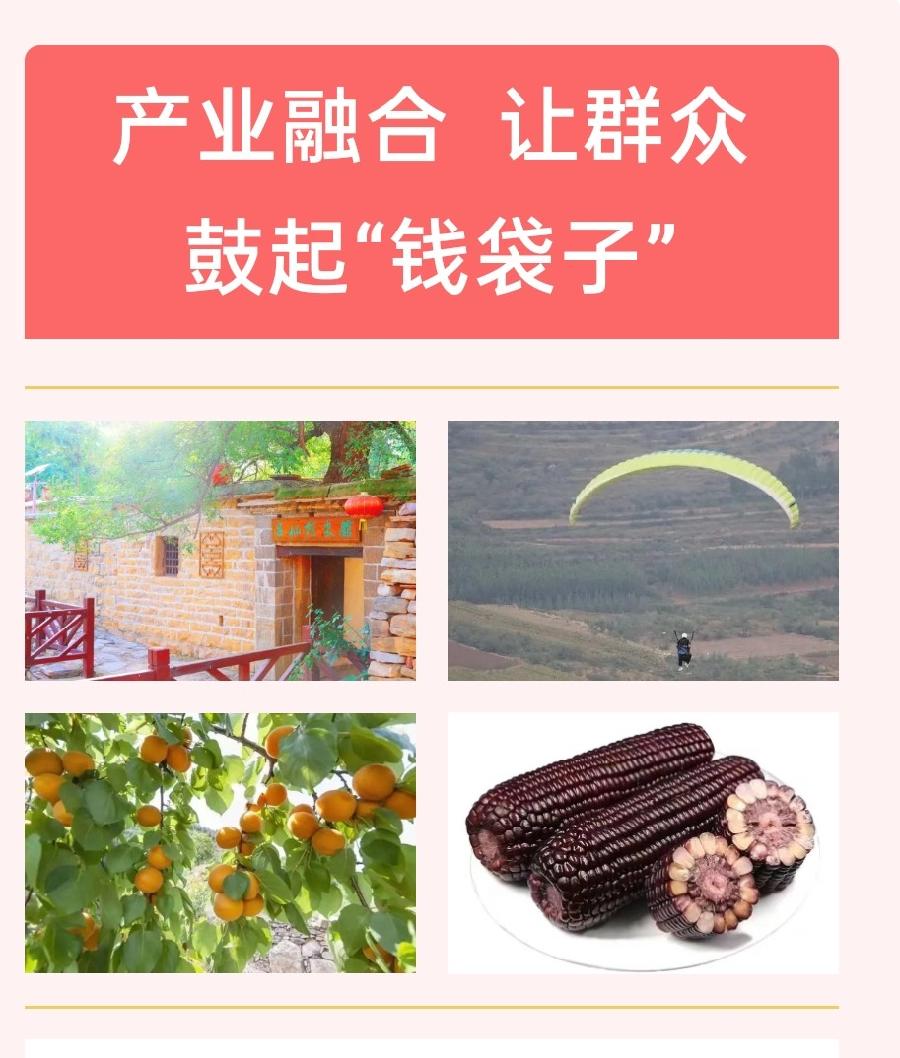 湖屯镇吕仙村:党建统领聚合力村企携手谋振兴(图4)