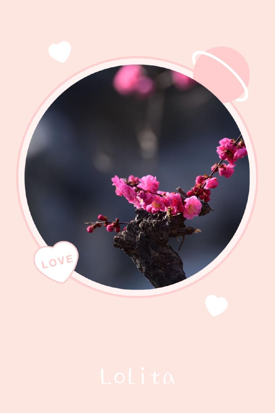 相约一场春暖花香(图2)