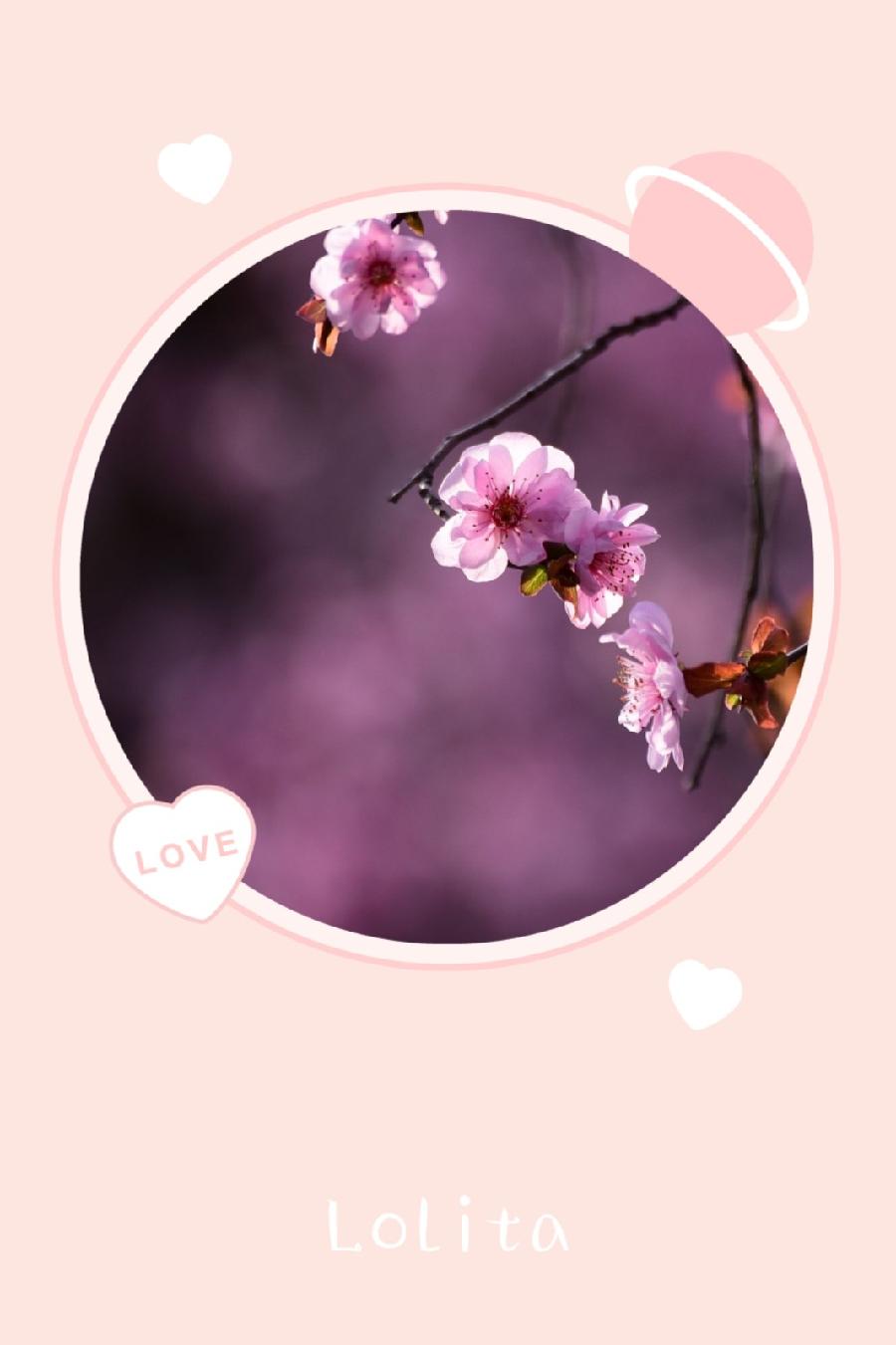 相约一场春暖花香(图3)