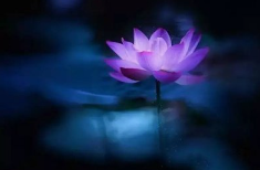 孙文:东北风之五十六《清水出芙蓉》‖巴彦诗词楹联协会【423】(图5)