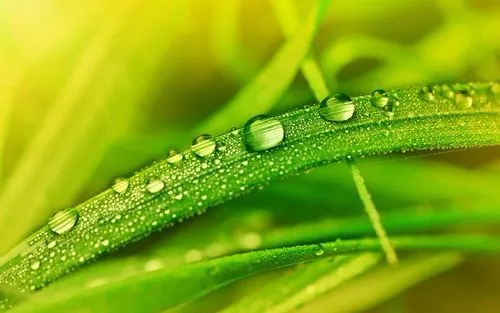 我是一棵小草 文/敢当(图3)