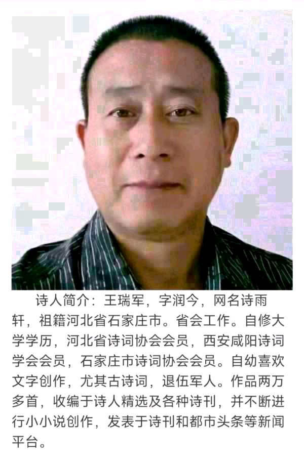 中华诗艺黑龙江分社●诗词微刊(十八)(图30)