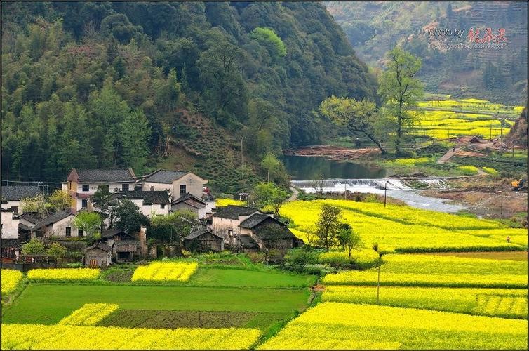 《九江文学社:北京头条》著名艺术家沈志昂先生近期美文集粹欣赏(图33)